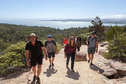 Half-Day Tour To Wineglass Bay From Launceston With Guide - Your Accommodation 4