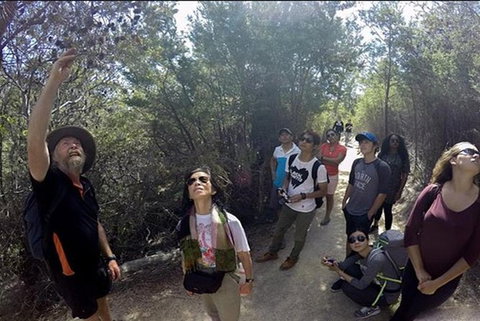 Half-Day Tour To Wineglass Bay From Launceston With Guide - Your Accommodation 1