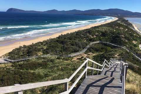 4-Day Fabulous Tasmania Tour: Wineglass Bay, Port Arthur, Devils & Bruny Island - Your Accommodation 3
