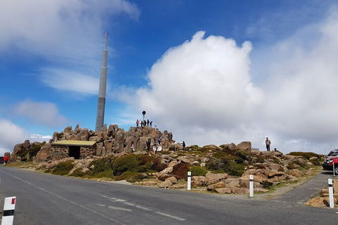 Mt. Wellington Morning Hike + Afternoon Beer & History Walk - Your Accommodation 21