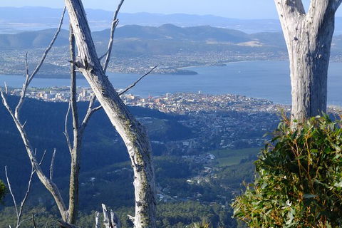 Mt. Wellington Morning Hike + Afternoon Beer & History Walk - Your Accommodation 10