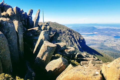 Mt. Wellington Morning Hike + Afternoon Beer & History Walk - Your Accommodation 11