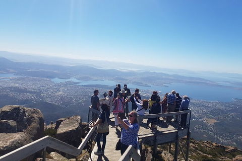Mt. Wellington Morning Hike + Afternoon Beer & History Walk - Your Accommodation 2
