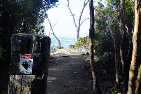 Mt. Wellington Morning Hike + Afternoon Beer & History Walk - Your Accommodation 14