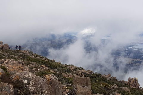 Mt. Wellington Morning Hike + Afternoon Beer & History Walk - Your Accommodation 18