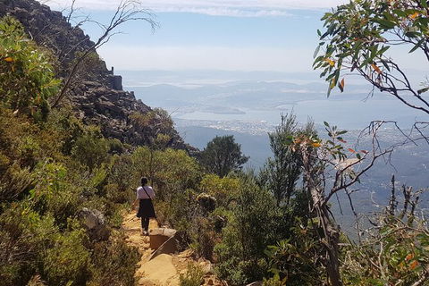 Mt. Wellington Morning Hike + Afternoon Beer & History Walk - Your Accommodation 1