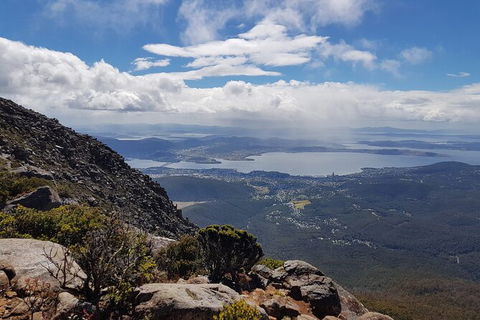 Mt. Wellington Morning Hike + Afternoon Beer & History Walk - Your Accommodation 5