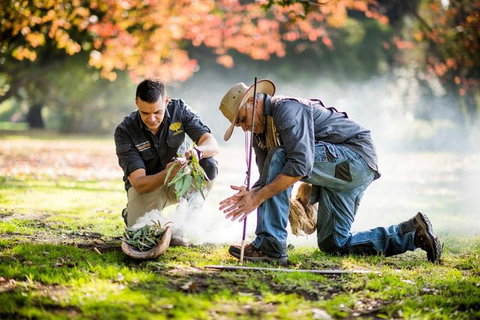 Aboriginal Heritage Walk - Royal Botanic Gardens Victoria, Melbourne Gardens - Your Accommodation 0