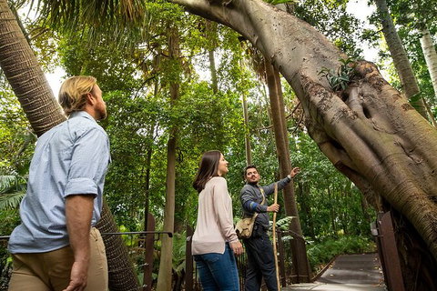 Aboriginal Heritage Walk - Royal Botanic Gardens Victoria, Melbourne Gardens - Your Accommodation 1