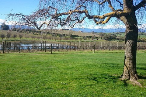 CHEVY CONVERTIBLE TOUR Per Group Up To 4 People. - Your Accommodation 2