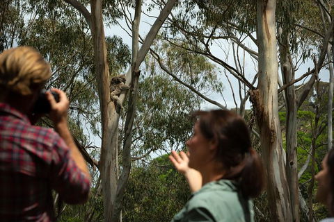 Indigenous Culture And Nature Tour - Your Accommodation 2