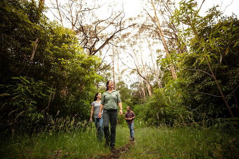 Indigenous Culture And Nature Tour - Your Accommodation 6