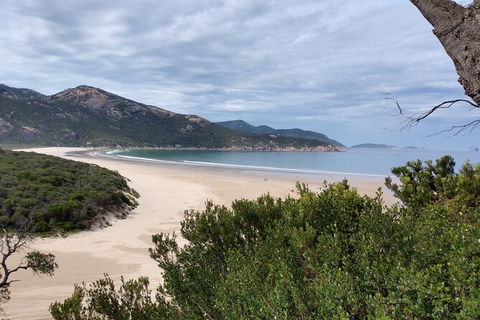 Wilsons Promontory Brainstorming Escape - Your Accommodation 1