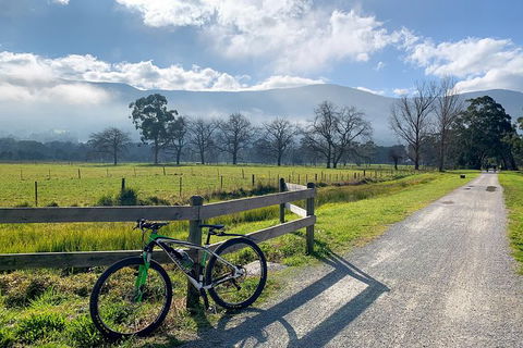 Aqueduct And Rail Trail Self-Guided Bike Tour In Warburton - Your Accommodation 5