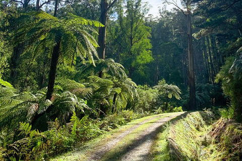 Aqueduct And Rail Trail Self-Guided Bike Tour In Warburton - Your Accommodation 3