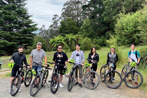 Aqueduct And Rail Trail Self-Guided Bike Tour In Warburton - Your Accommodation 0