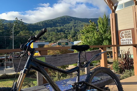 Aqueduct And Rail Trail Self-Guided Bike Tour In Warburton - Your Accommodation 2