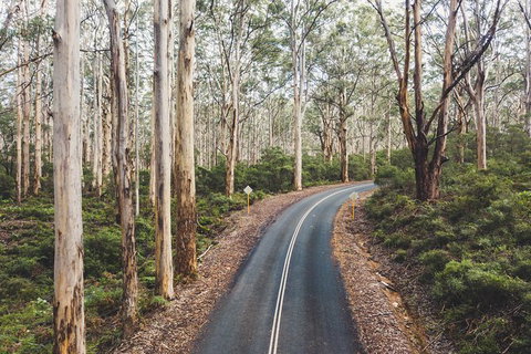 All Inclusive Surf Camp In Margaret River Region - Your Accommodation 2