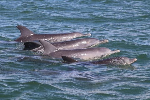 Romance Cruise + Scenic Tour + Beer Tasting + 3 Course Lunch + Hamper - Your Accommodation 7