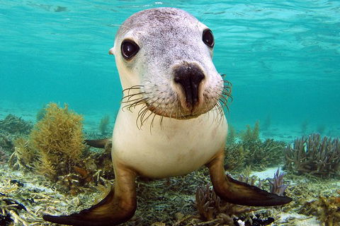 Abrolhos Islands 5 Day Tours - Your Accommodation 6