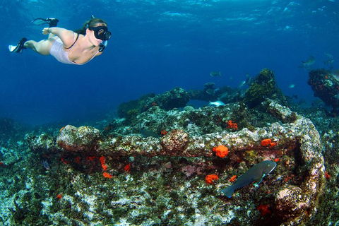 Abrolhos Islands 5 Day Tours - Your Accommodation 3