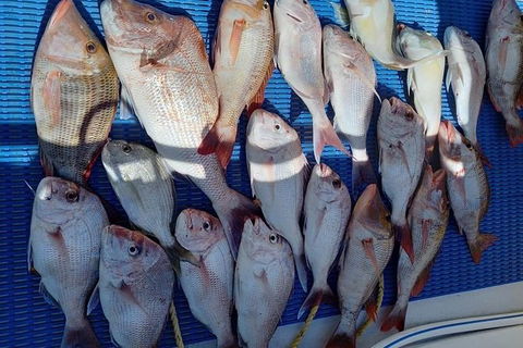 Geraldton Fishing Charter - Your Accommodation 7