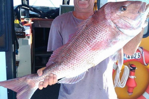 Geraldton Fishing Charter - Your Accommodation 10