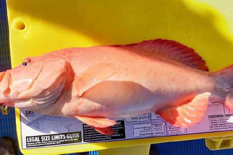 Geraldton Fishing Charter - Your Accommodation 13