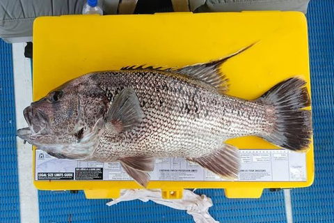 Abrolhos Islands Fishing Charter - Your Accommodation 2