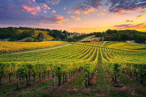 Swan Valley Sunset Wine Tour - Premium Small Group Tour - Your Accommodation 0