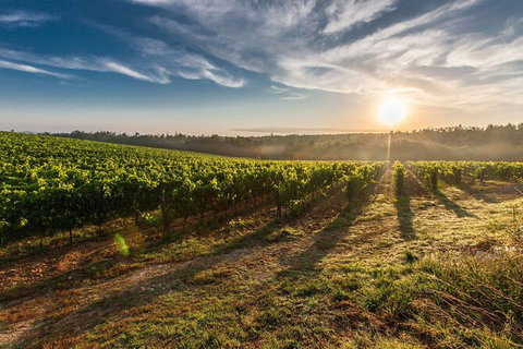 Perth To Margaret River Wine Tour - 2 Day Premium Boutique Wine Tour Experience - Your Accommodation 0