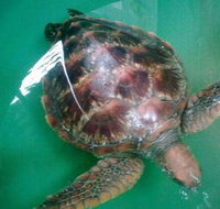 Australian Seabird Rescue - Your Accommodation