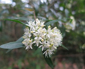 Booderee National Park - Your Accommodation 0