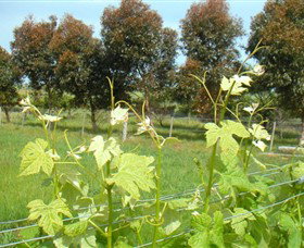 Larpent VIC Your Accommodation