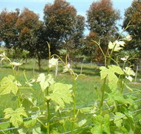 Barwon Ridge Wines - Your Accommodation