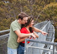 Valley of the Giants Tree Top Walk - Your Accommodation