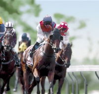 Colac Turf Club - Your Accommodation