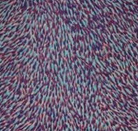 The Gate Gallery - Wollombi - Your Accommodation