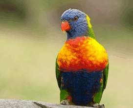 Booderee National Park - Your Accommodation 1