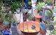 Leaf & Stone Garden Gallery - thumb 0
