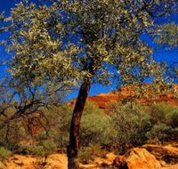 Mt Romance Australia Pty Ltd - Your Accommodation