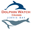 Dolphin Watch Cruises - Your Accommodation 2