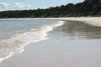 Dolphin Watch Cruises - Your Accommodation 5
