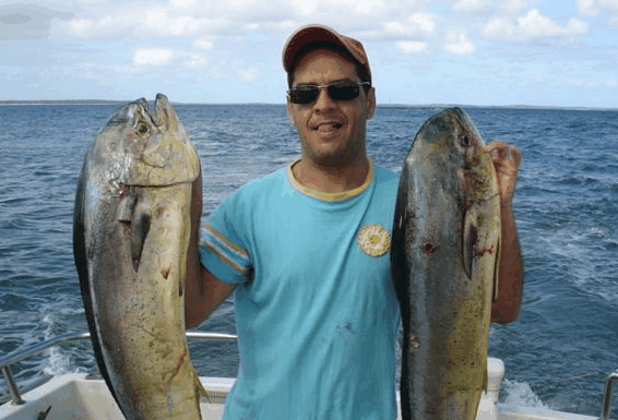 Jervis Bay Fishing And Charters - Your Accommodation 0