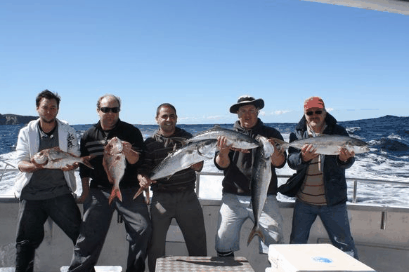 Jervis Bay Fishing And Charters - Your Accommodation 2