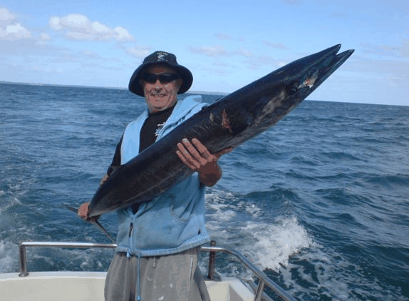 Jervis Bay Fishing And Charters - Your Accommodation 4