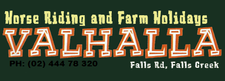 Valhalla Horse Riding - Your Accommodation 4
