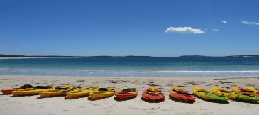 Jervis Bay Kayak & Paddlesports - Your Accommodation 5