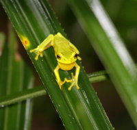 Daintree River Cruise Centre - Your Accommodation