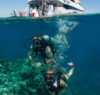 Down Under Cruise and Dive - Your Accommodation